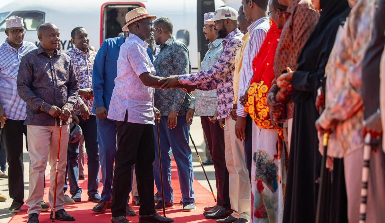 Ruto launches new electrification project in Wajir