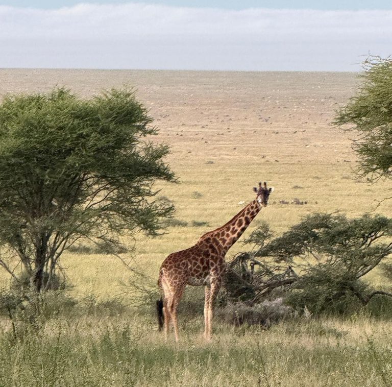Tension rises in Transmara as youth defend ancestral land